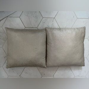 Pair of Shimmery Champagne Throw Pillows
